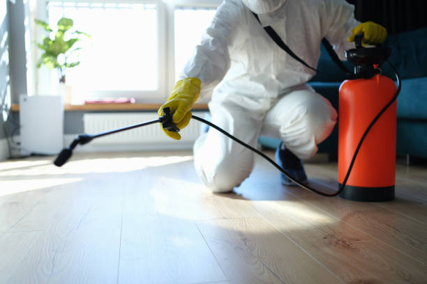 Best Flea Control Services  in Diamond, IL