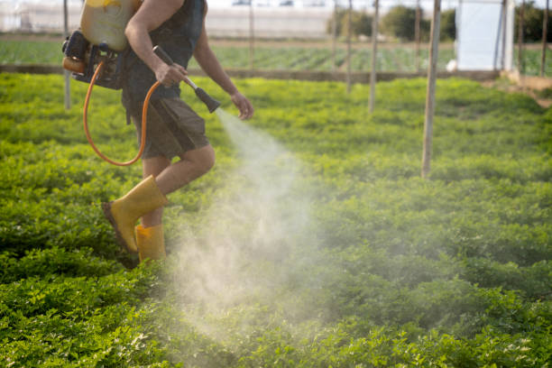 Best Residential Pest Control  in Diamond, IL