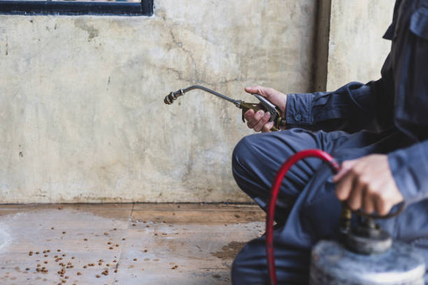 Best Pest Prevention Services  in Diamond, IL