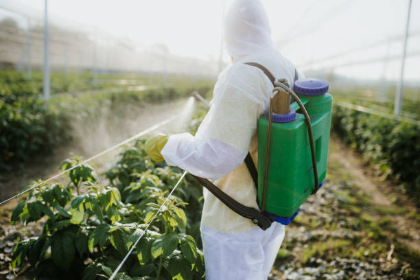 Best Best Pest Control Companies  in Diamond, IL